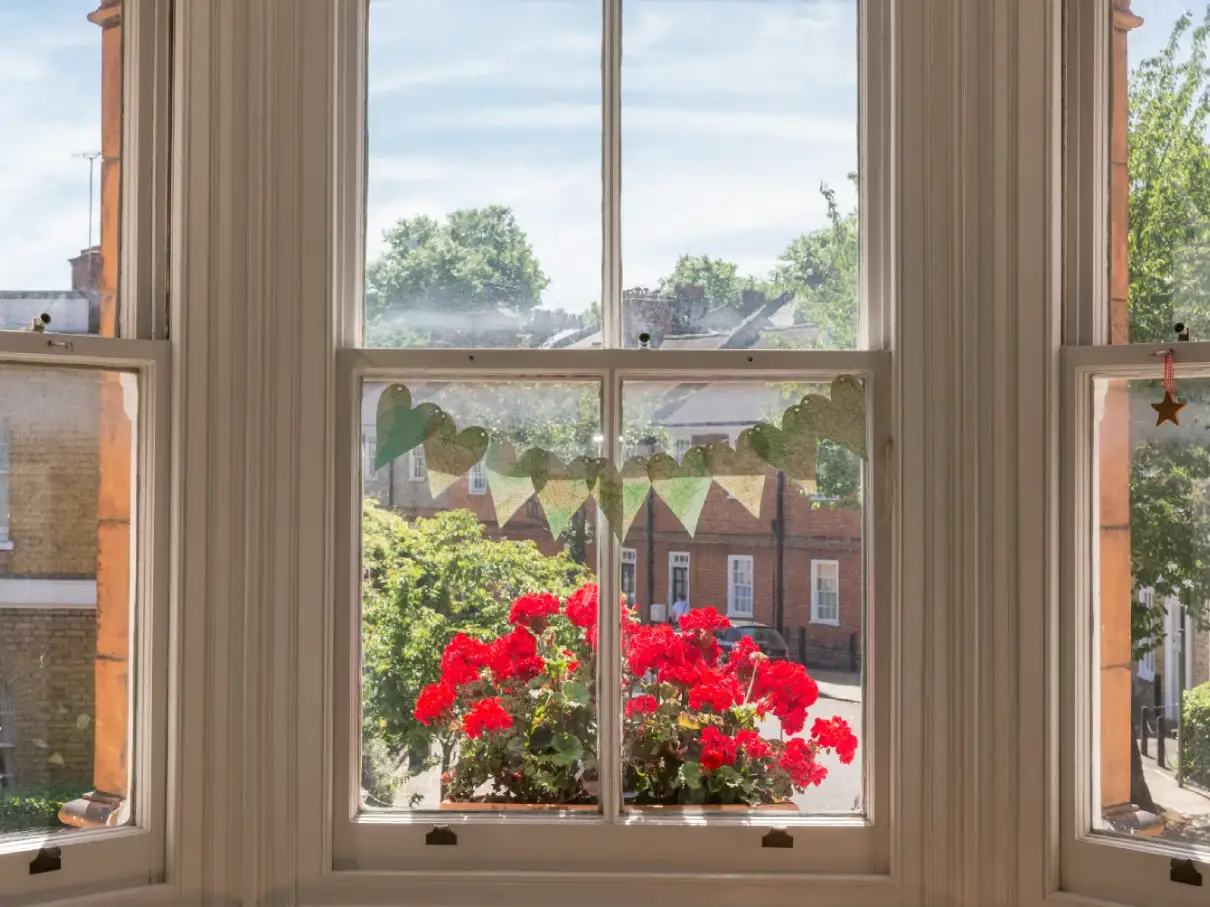 portfolio image